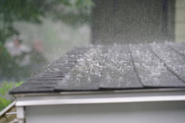 Best Gutter Installation and Repair  in Olney, IL